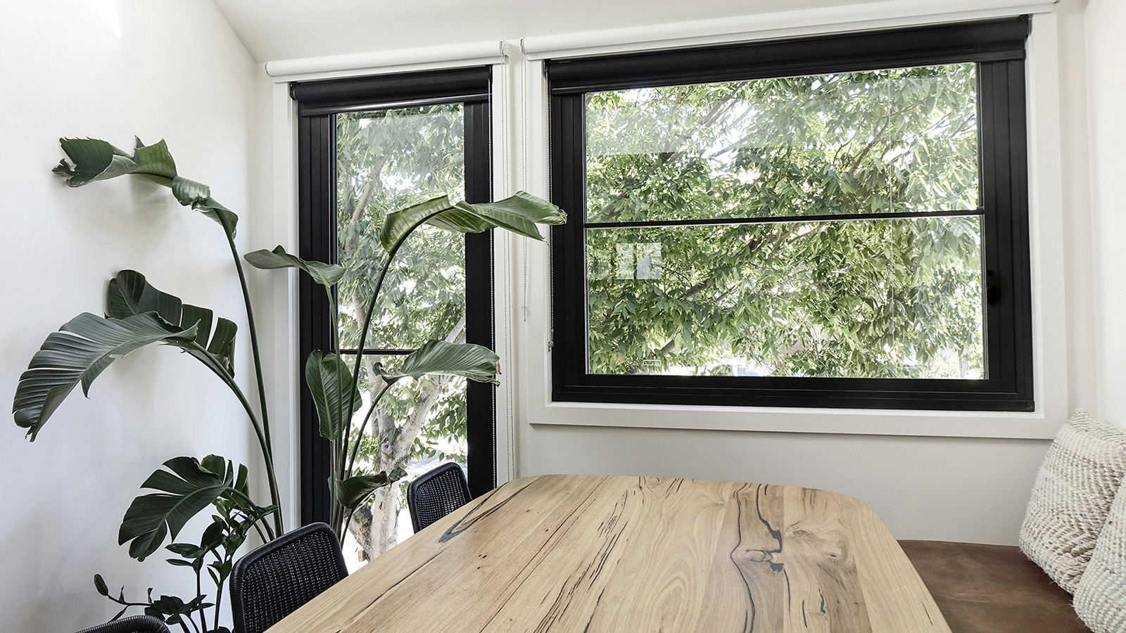 Image of a renovation in Kensington that was designed by sustainable architecture firm MOA.studio