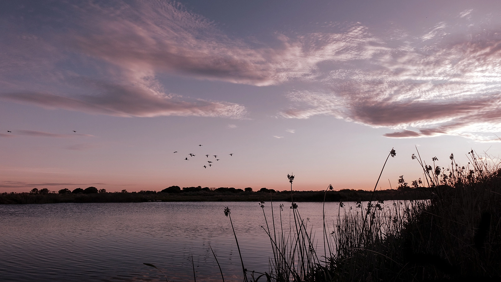 Photograph of Williamstown, taken by Matthew Oczkowski.