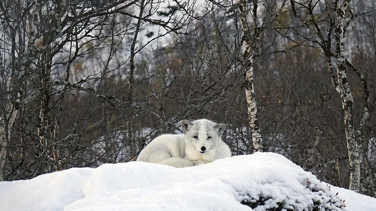 Travel photo by Matthew Oczkowski