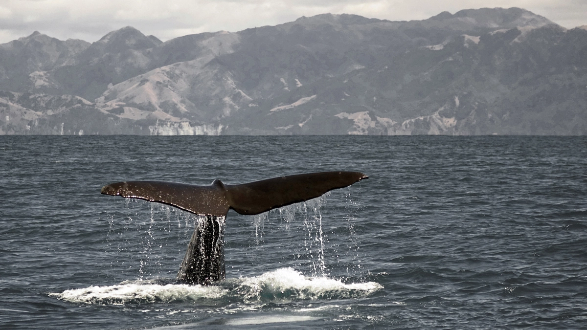 Travel photo by Matthew Oczkowski