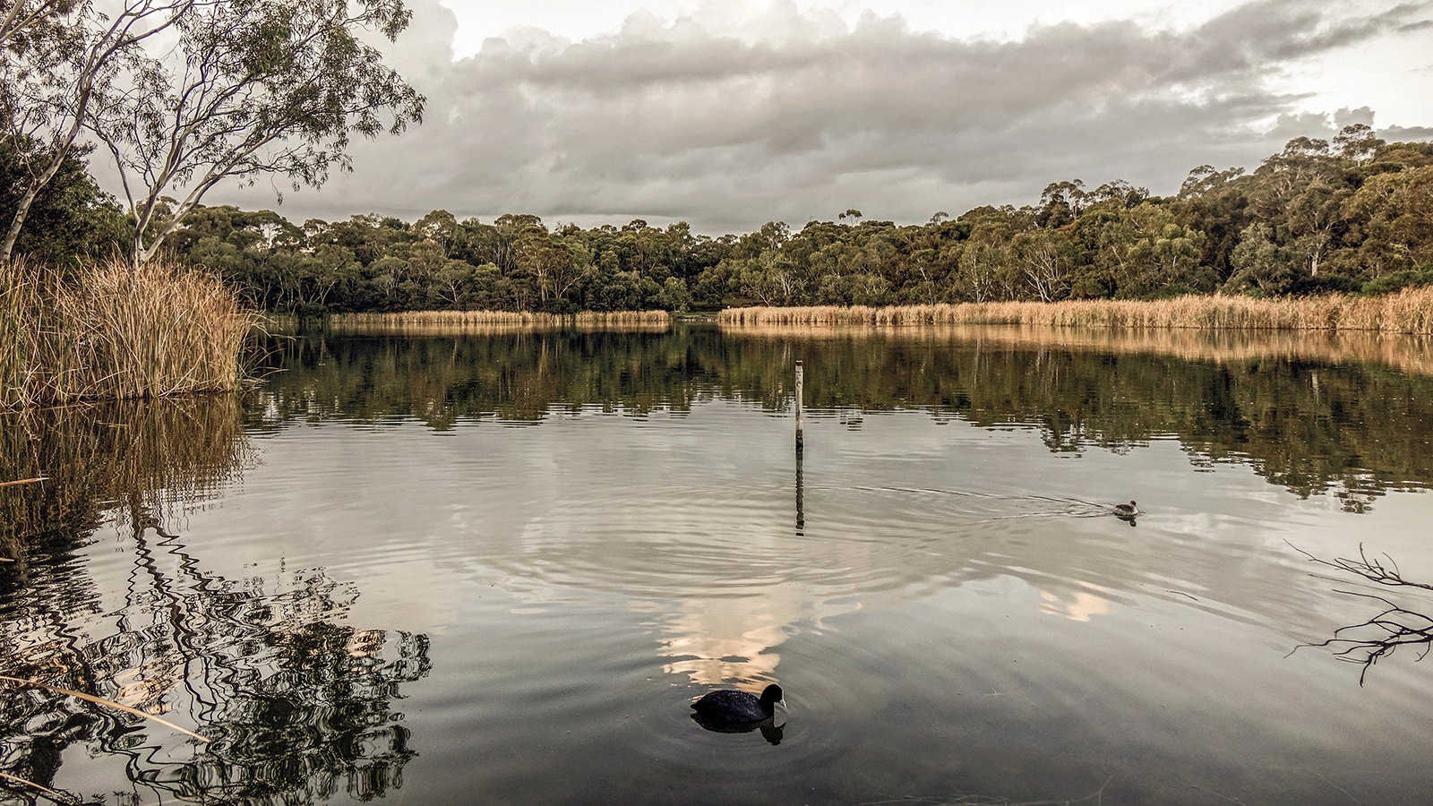 Photo of Newport Lakes within Hobsons Bay City Council. Photo by Matthew Oczkowski.