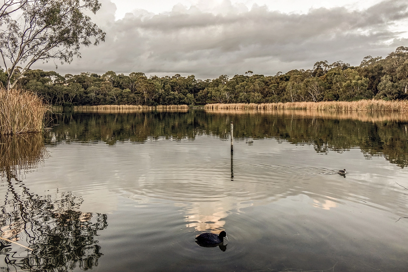 Photo of Newport Lakes within Hobsons Bay City Council. Photo by Matthew Oczkowski.